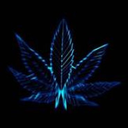 🅹🅰🅻🅴🅻液ゥ永