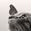 ALITTLEKING