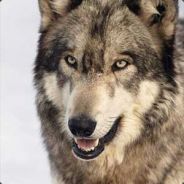 F_E_A_R(add F_E_A_R94)