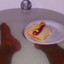 Hot Dog schwimmt