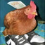 Chicken Montana
