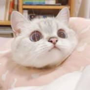 白辰是个坏鼠鼠333