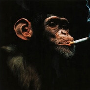 tundy's avatar