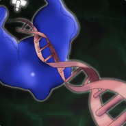 DNA Polymerase