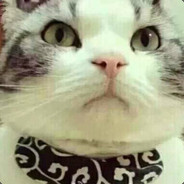 睡醒了也就想开了