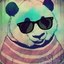 Panda)