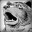 TheBearWithin