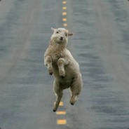 拖着奶瓶去旅行