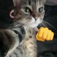 狡猾的学生党666