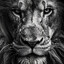 The Lion