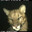 smeep