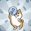 Doge