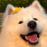 心情连下五天雨