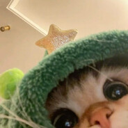 JanuaryCat