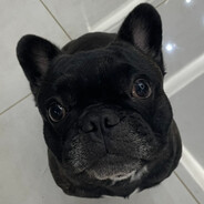 chico piriquitim