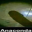 Anaconda