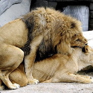 『GYL』观渊楼✿老骚