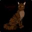 brambleclaw38