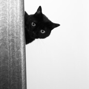 乐不可支的冰糖