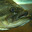 Large Mouth Bass