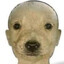 SDD DO MANO CSGOSKINS.COM