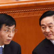 元气少女王沪宁