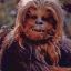 Chewbacca