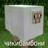 76561198449249398