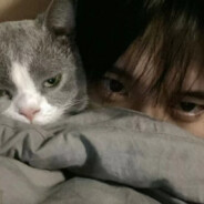 风住尘香花已尽