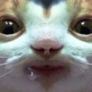 qwertyvr