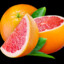 TheGrapefruitman42