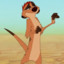 Timon