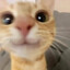 ロバのおなら