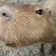 Lapicus - steam id 76561198235965006