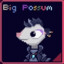 BIG POSSUM!?!