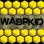 Waspkid