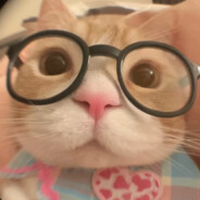 五个出生-铁坷垃