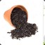 potting soil