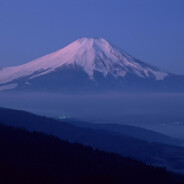 青茅山少年不会梦见星宿阿姨