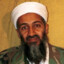 Bin Laden (The Original)