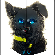 你与我之间本无缘分