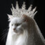 natyqueen~