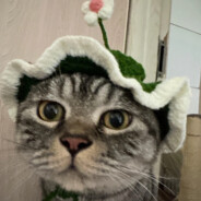 什么香香崔崔我们都爱