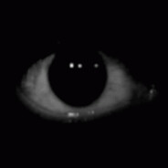 OBSERVE