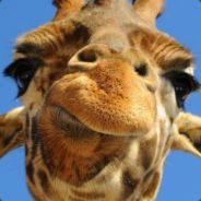 这个名字很不好