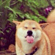 醉卧想变得有出息