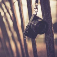 十万柯基总教头