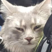 Zandro avatar