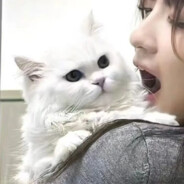 天才美少女怡宝