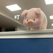 不主动不拒绝不负责